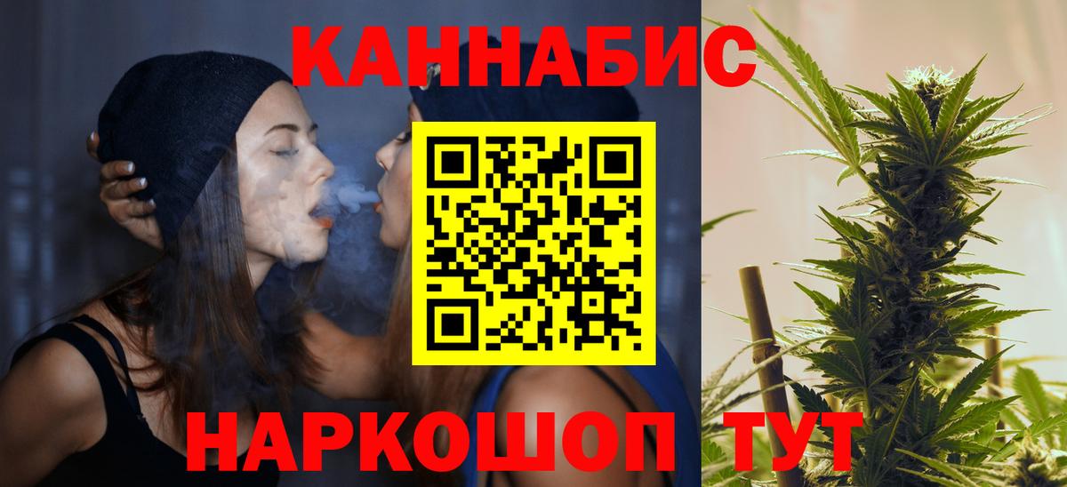 Шишки марихуана планчик Кингисепп